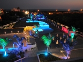 chr-by-night-014-copy