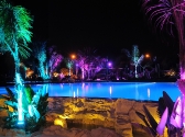 chr-by-night-031-copy