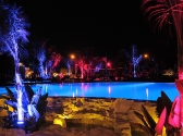 chr-by-night-033-copy