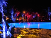 chr-by-night-037-copy